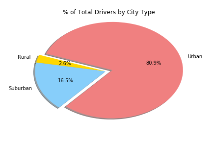 Percentage of Total Drivers by City Type